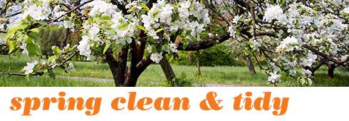 Spring Clean & Tidy