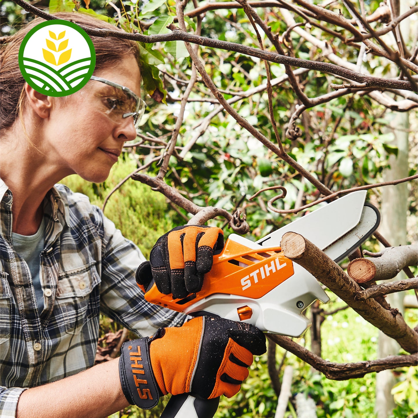 Stihl GTA 40 Cordless Pruner