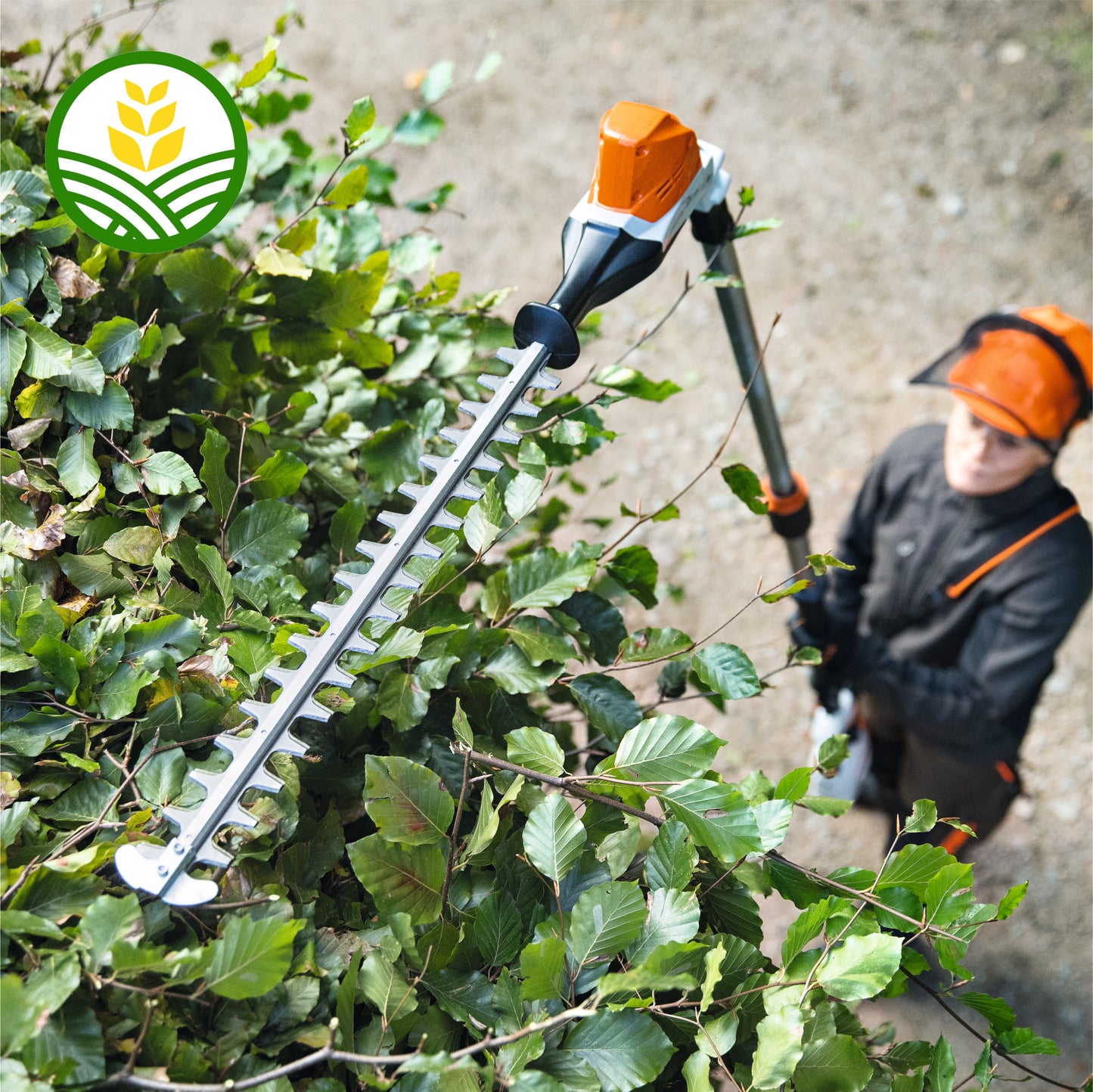Stihl HLA 86 Cordless Long-Reach Hedge Trimmer