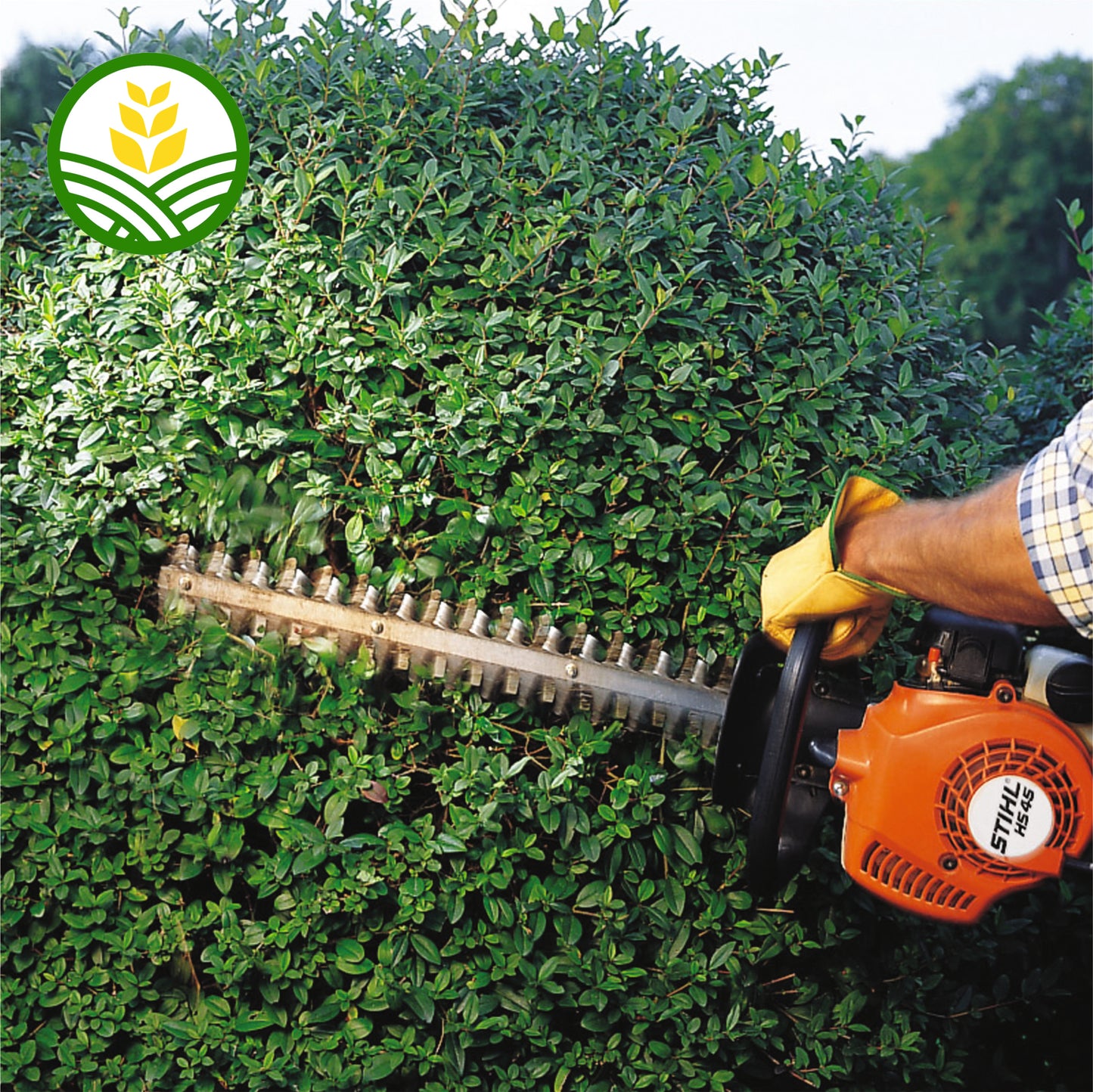 Stihl HS 45 Hedge Trimmer