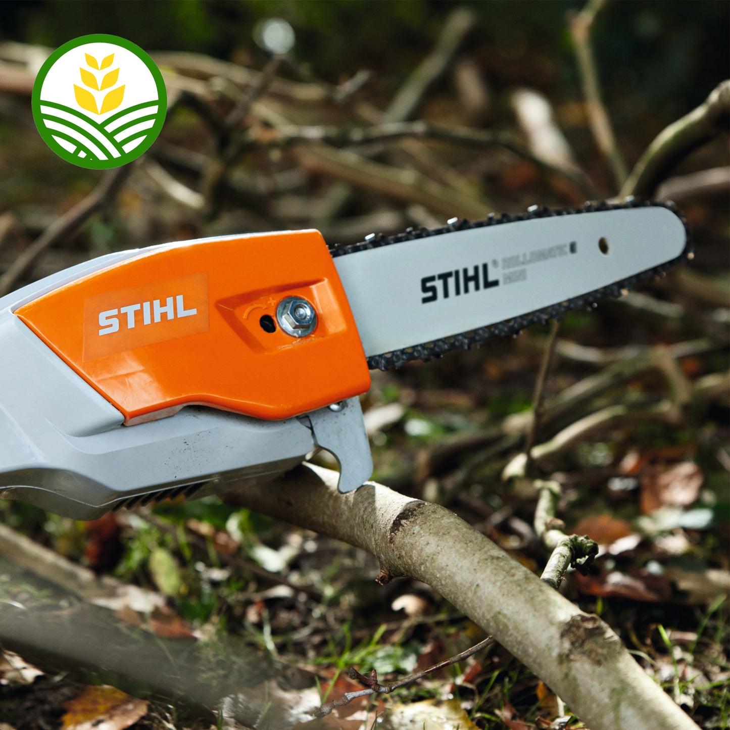 Stihl HTA 66 Cordless Pole Pruner - AP System