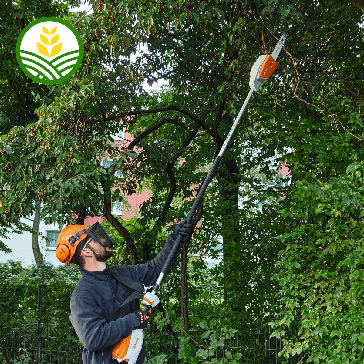 Stihl HTA 66 Cordless Pole Pruner - AP System