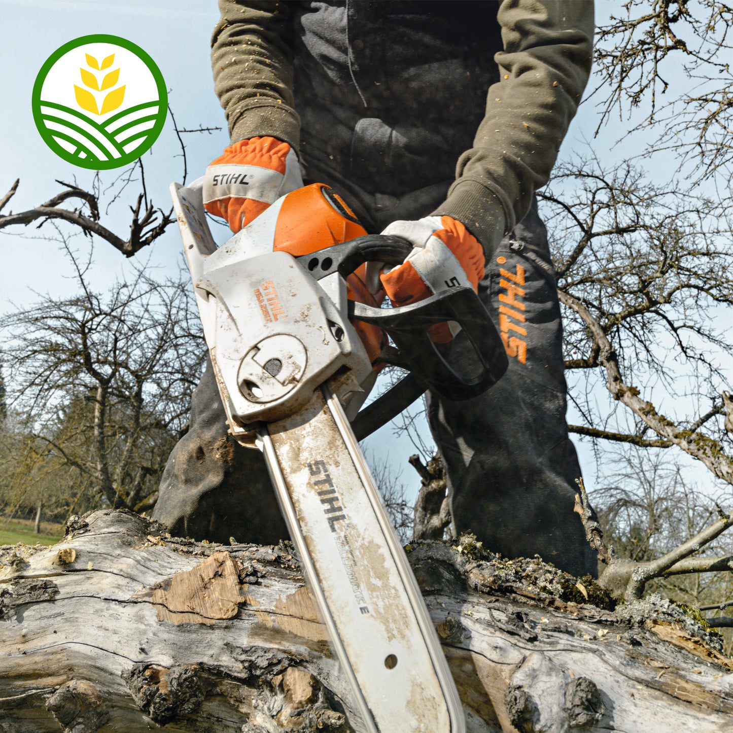 Stihl MSA 220 C-B Cordless Chainsaw - AP System
