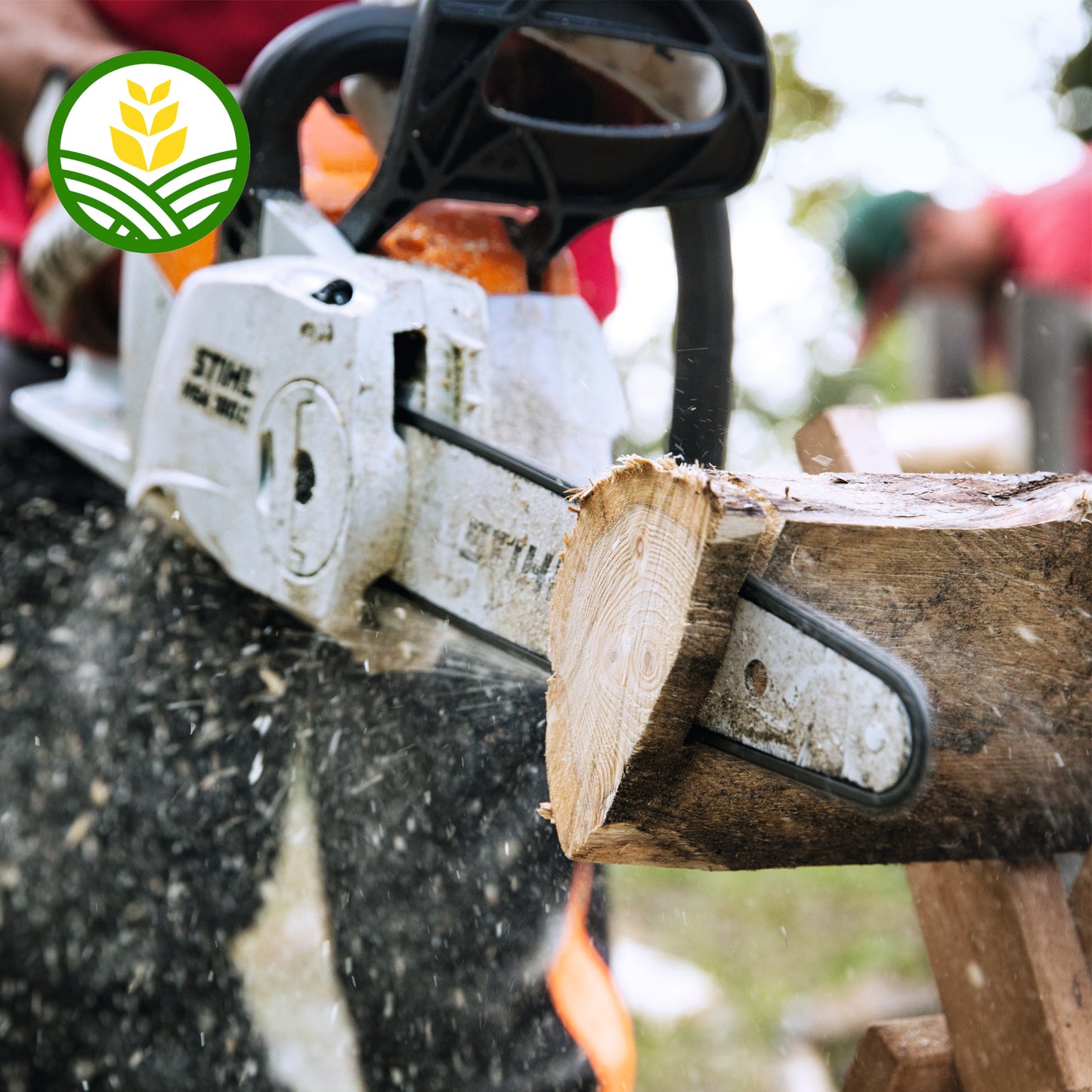 Stihl MSA 60 C-B Cordless Chainsaw - AK System