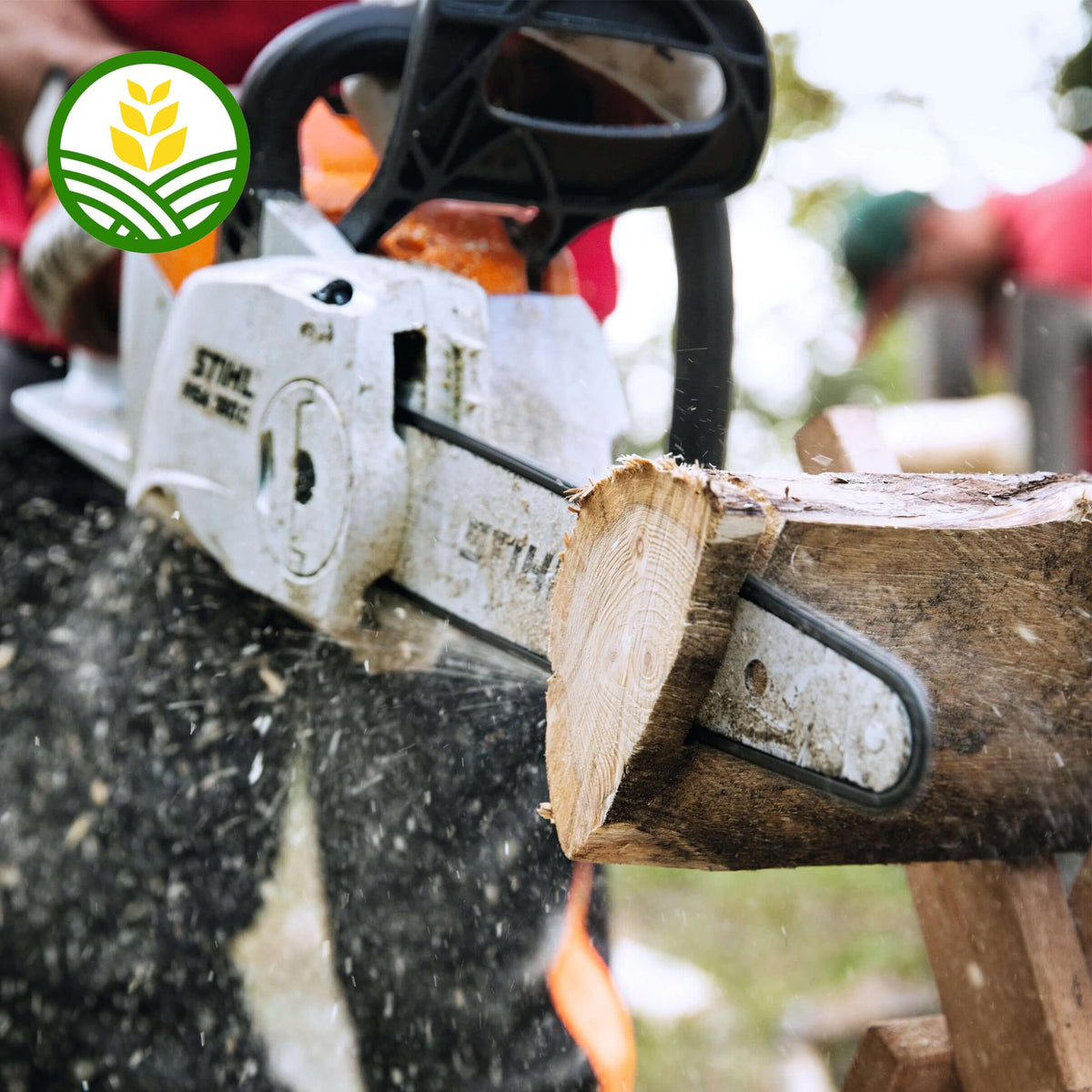 Stihl MSA 60 C-B Cordless Chainsaw - AK System
