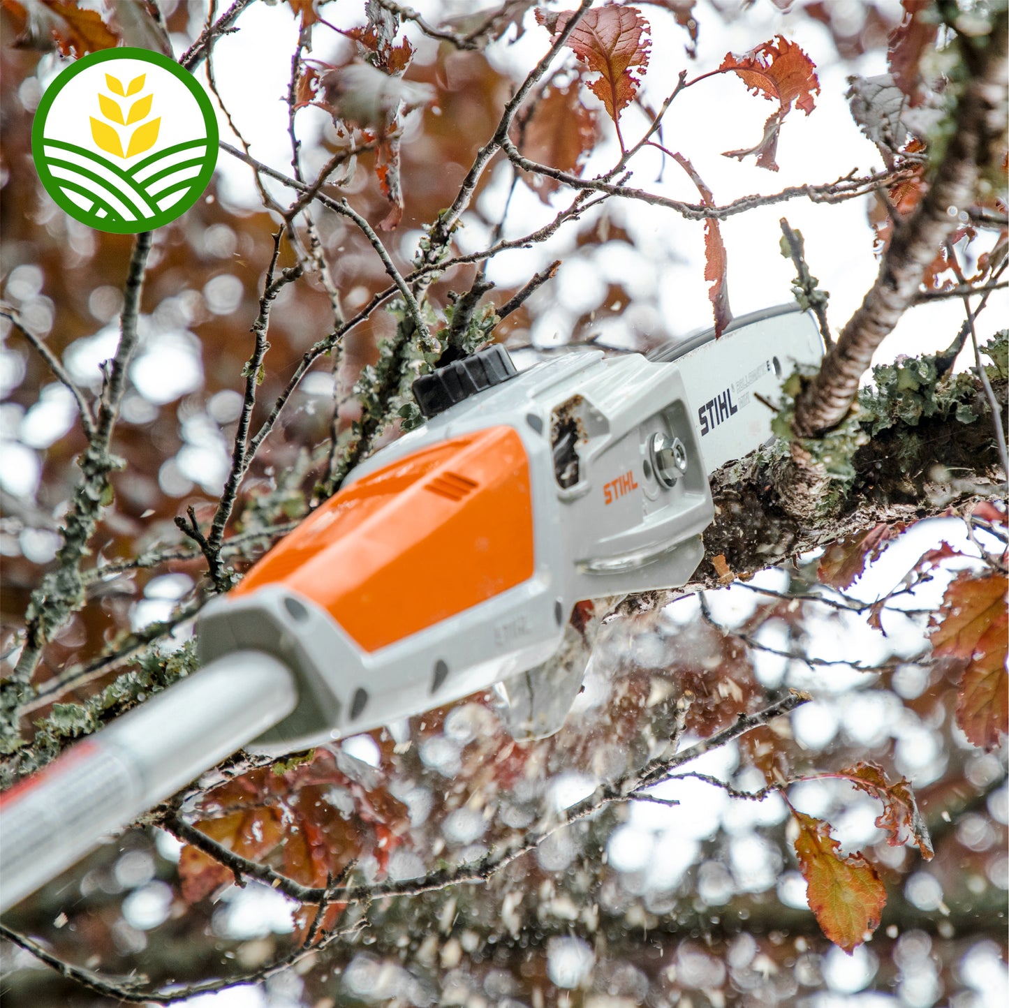 Stihl HTA 50 Cordless Pole Pruner - AK System