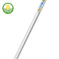 Stihl FS 55 R Petrol Brushcutter