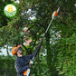 Stihl HTA 66 Cordless Pole Pruner - AP System